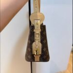 LOUIS VUITTON ALL IN BB photo review